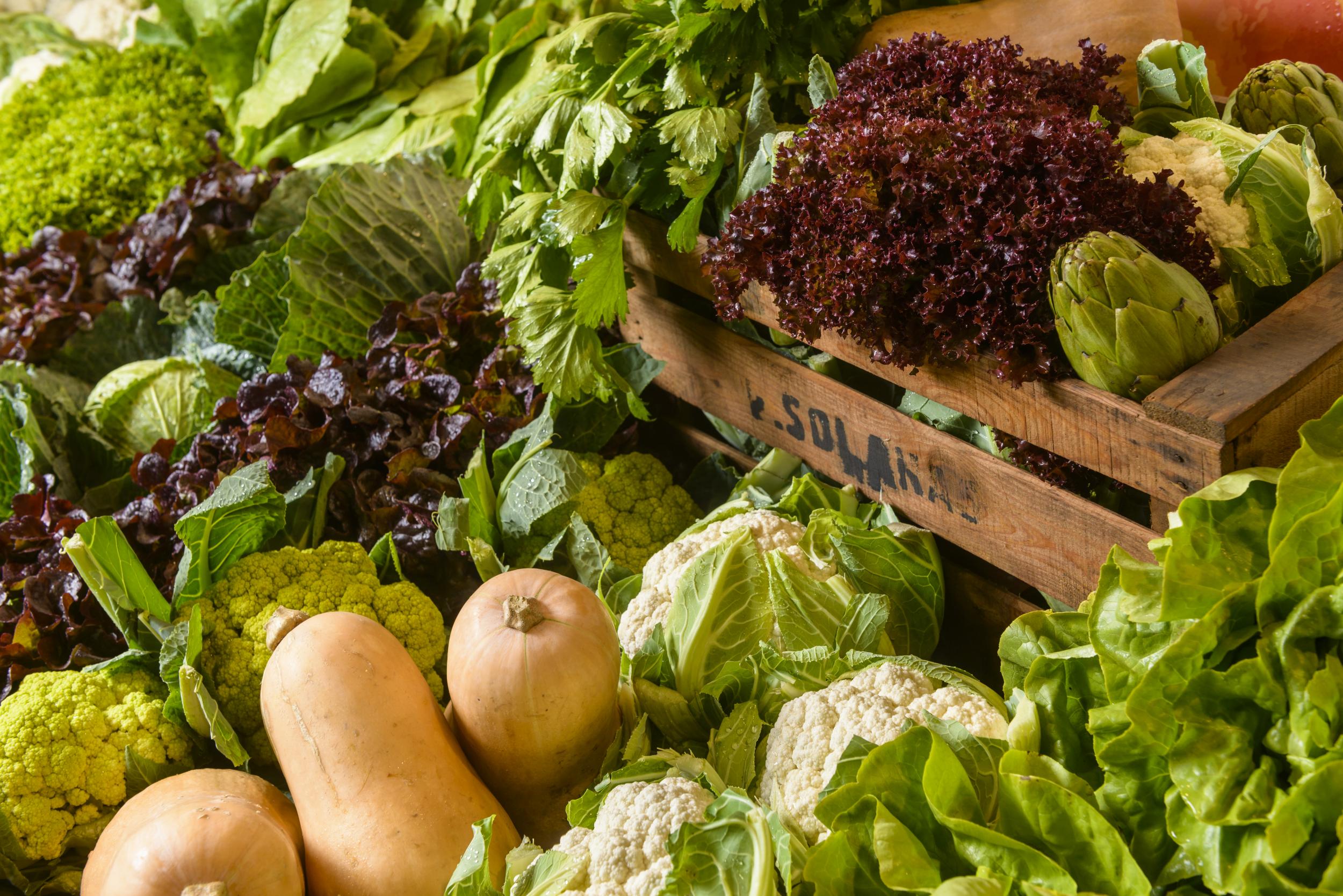 Xarxa de Productes de la Terra